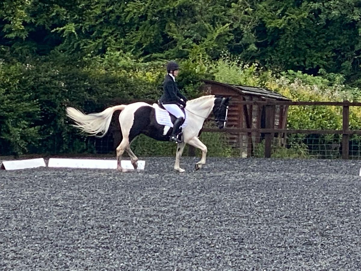 Area 12 Winter Novice Dressage Qualifier (hosted by Lamberts Castle RC)