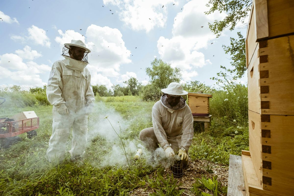Beekeeping for Beginners \u2013 Summer Workshop 3 of 4
