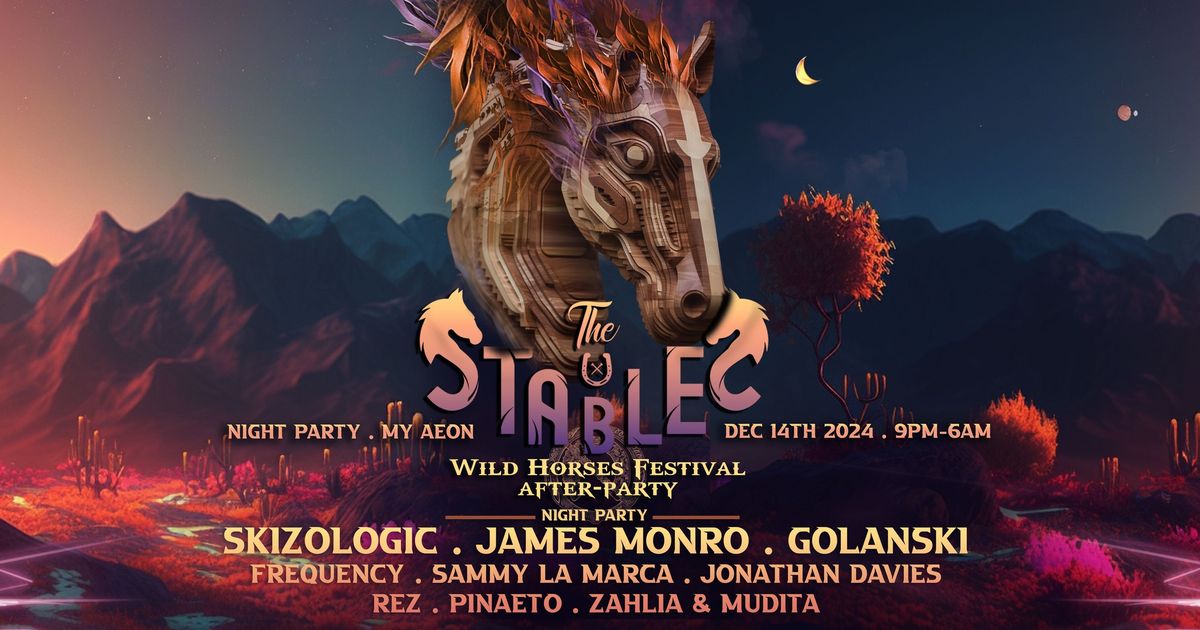 The Stables - Wild Horses After Party - Night 