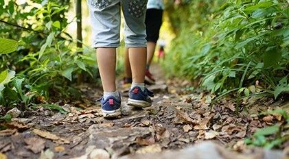 Family Hike