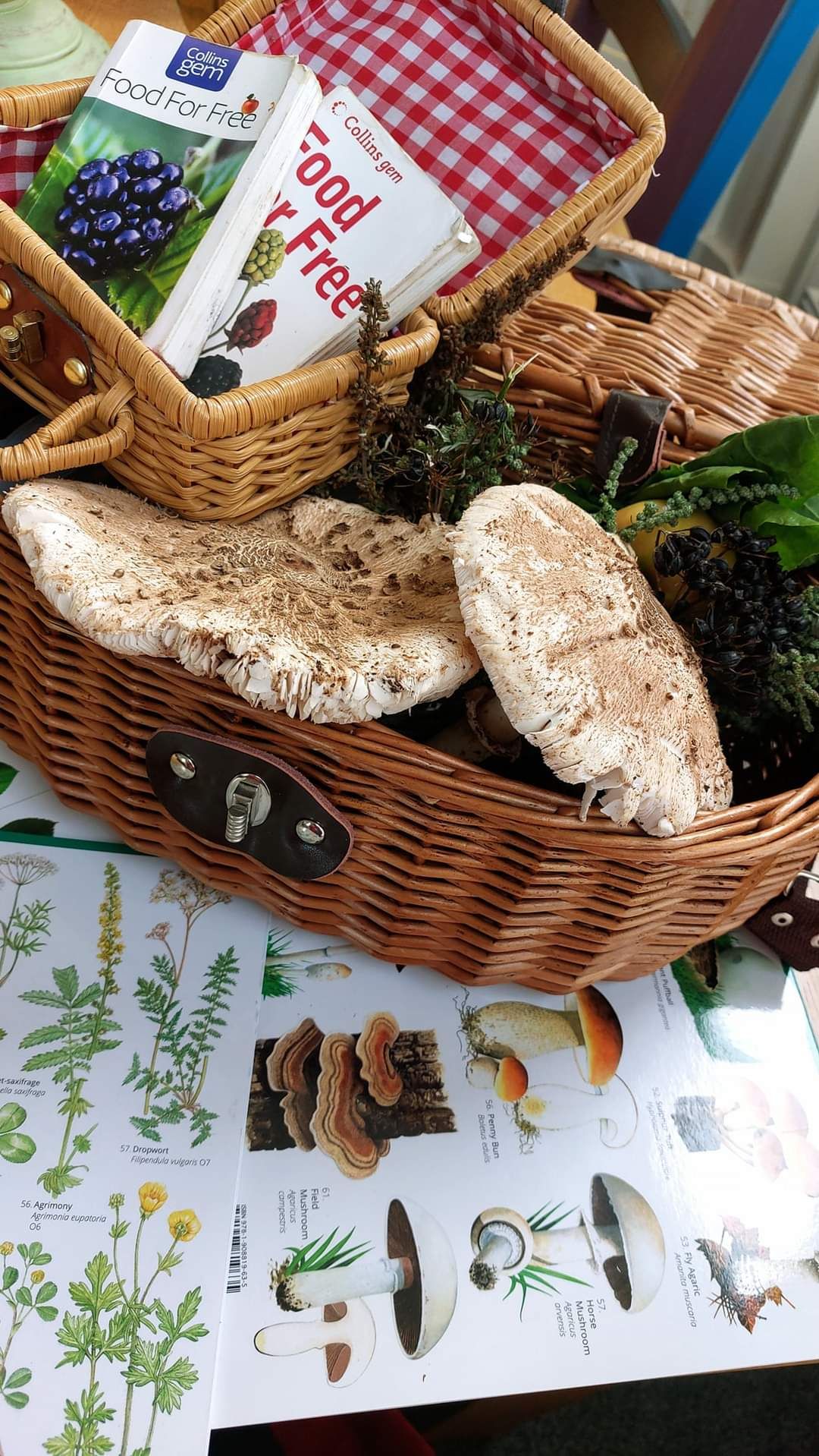 Canterbury Festival Autumn Riverside Foraging 