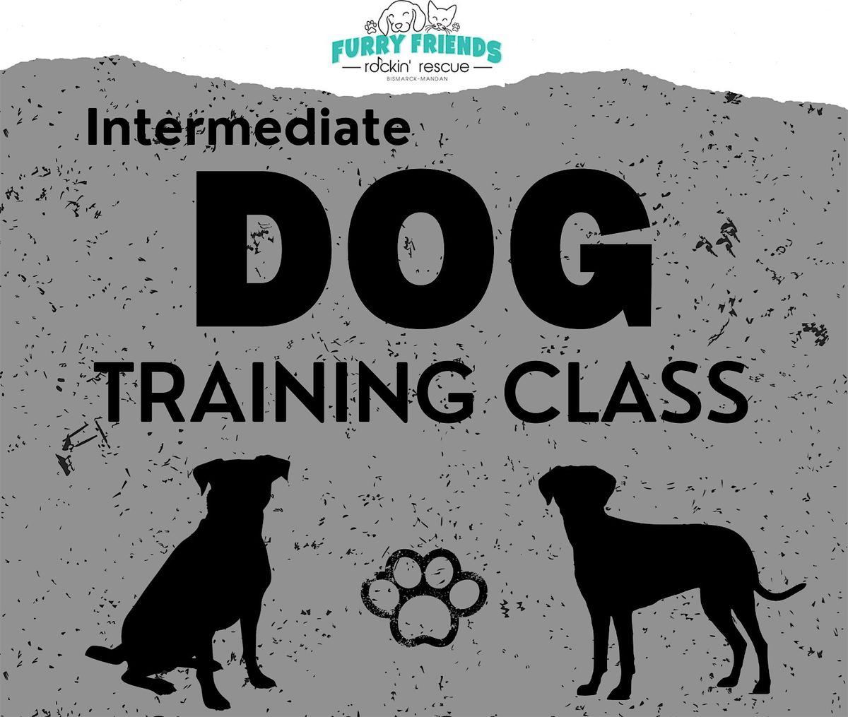 Intermediate Dog Training