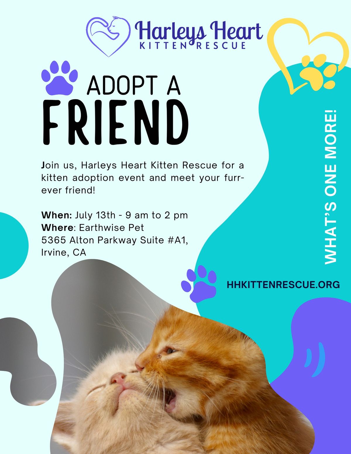Adopt a friend Kitten Adoption Event