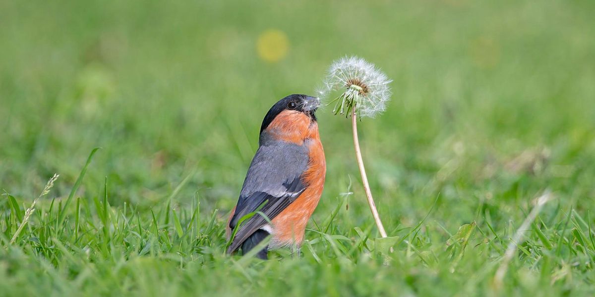 Beginners Wildlife Photography Workshop