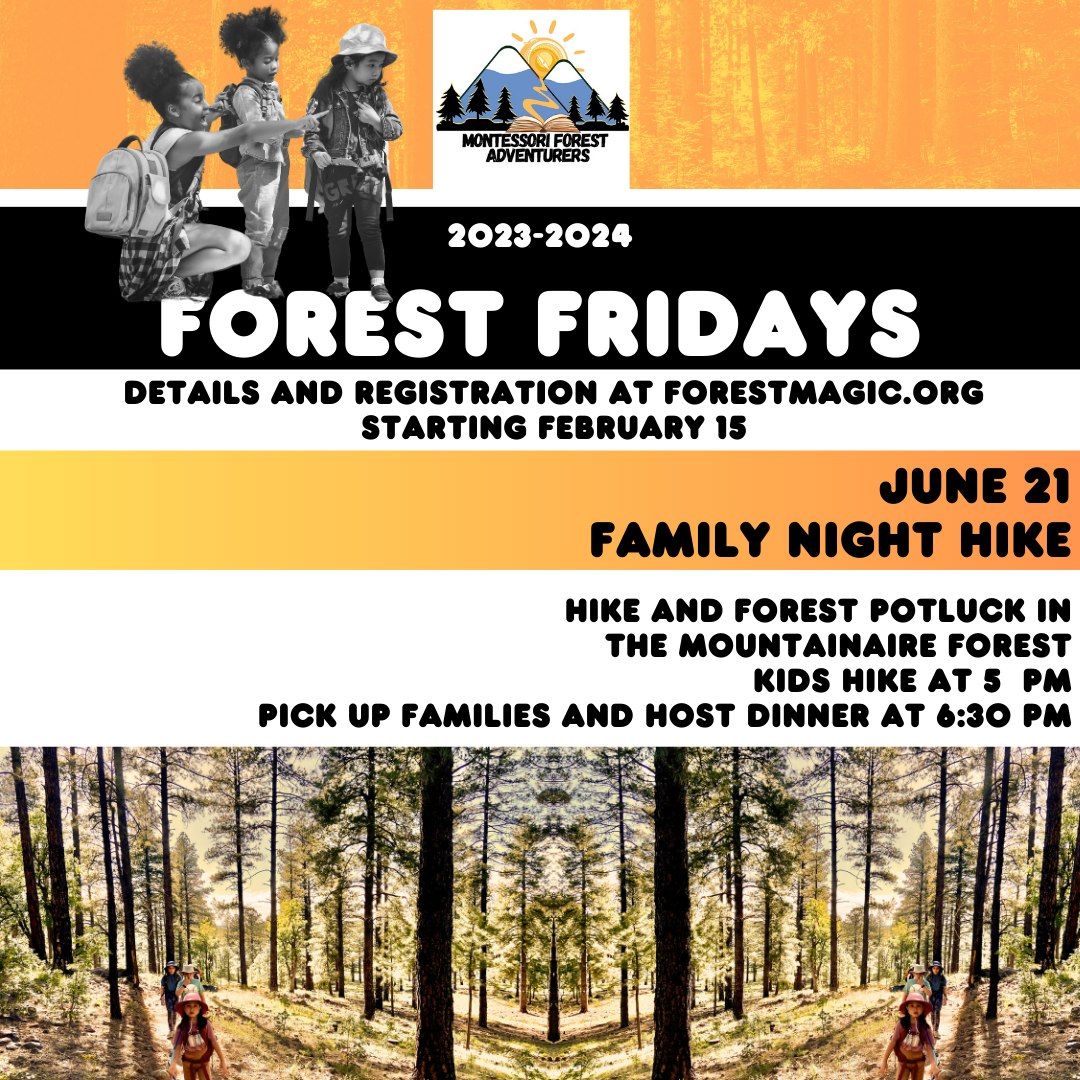 June Forest Friday in Mountainaire Forest