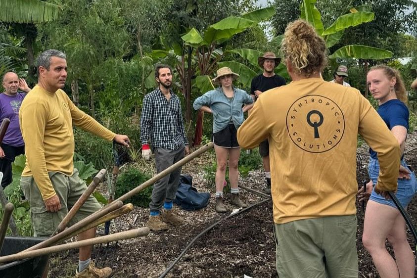 Food Forest (Syntropic Agroforestry) Workshop at The Paddock Project - Mullumbimby, NSW