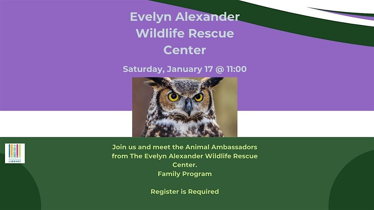 The Evelyn Alexander Wildlife Rescue Center Visits the Library