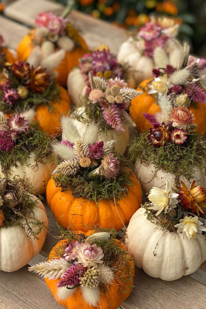 Dried Flower Pumpkins