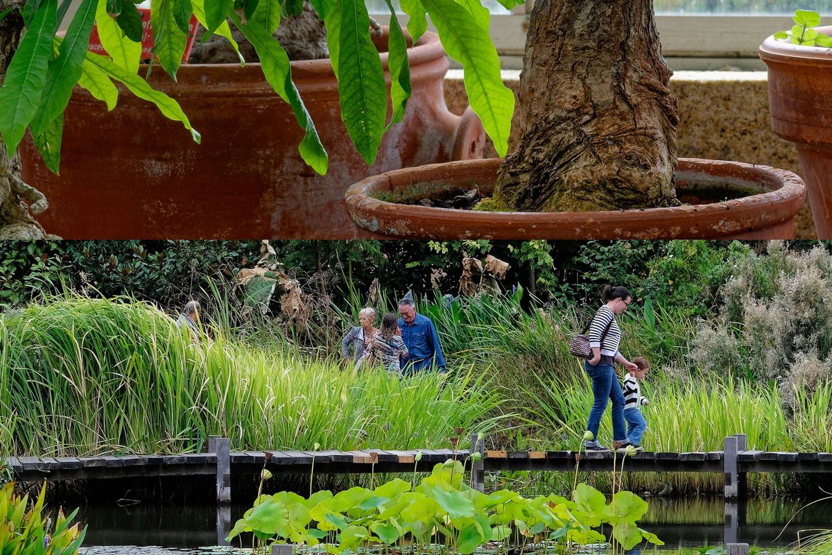 Le parc du grand Blottereau nous r\u00e9v\u00e8le son pass\u00e9 maritime