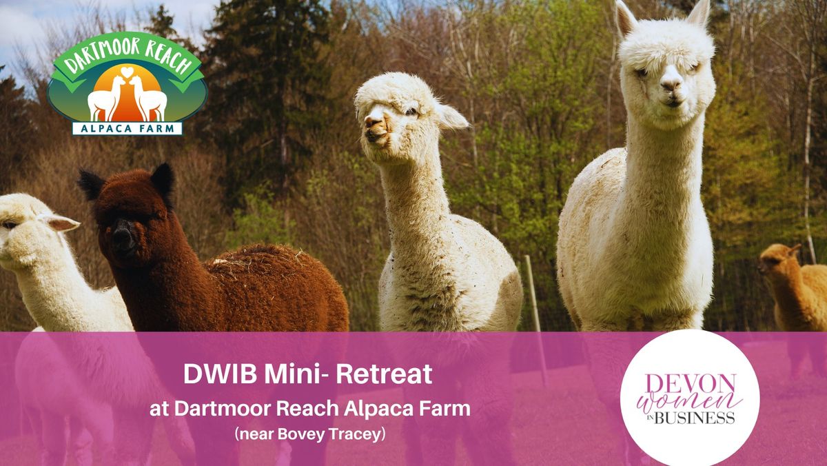 DWIB Mini-Retreat 