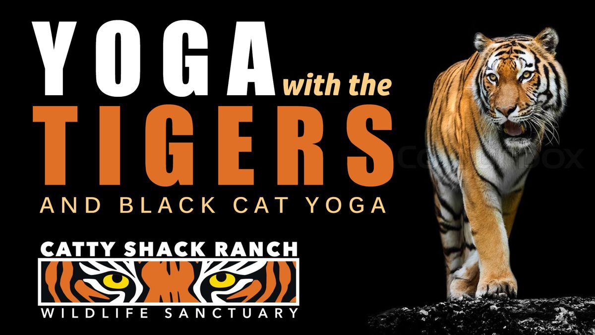 Yoga with the Tigers!