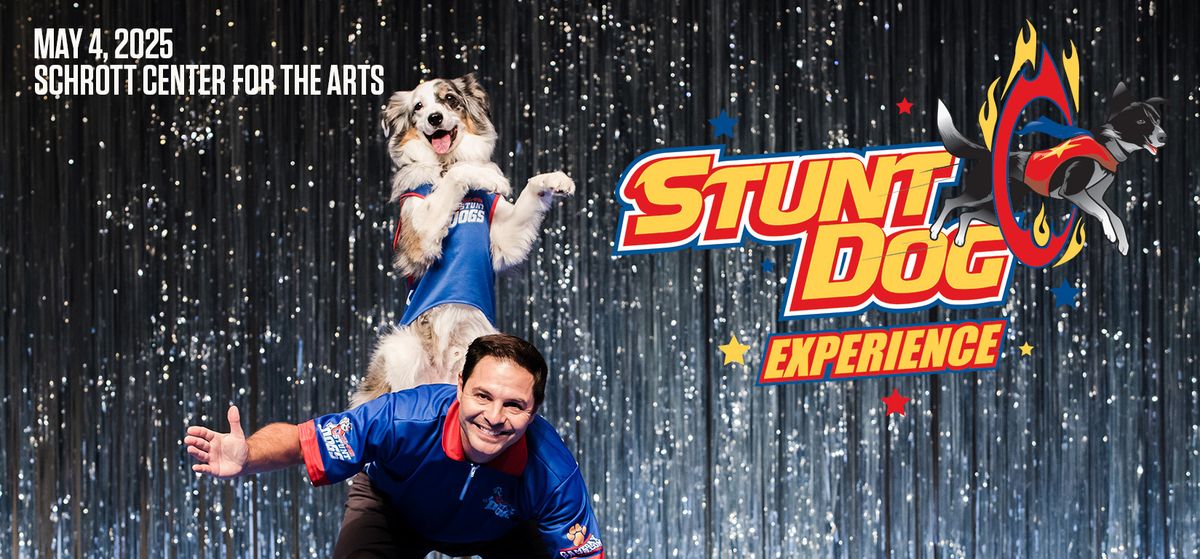 Stunt Dogs