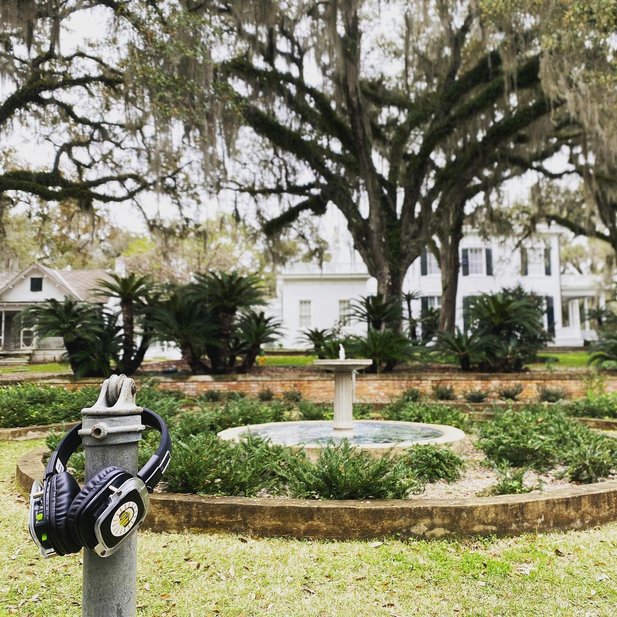 Outdoor Headphone Yoga at Goodwood Museum & Gardens