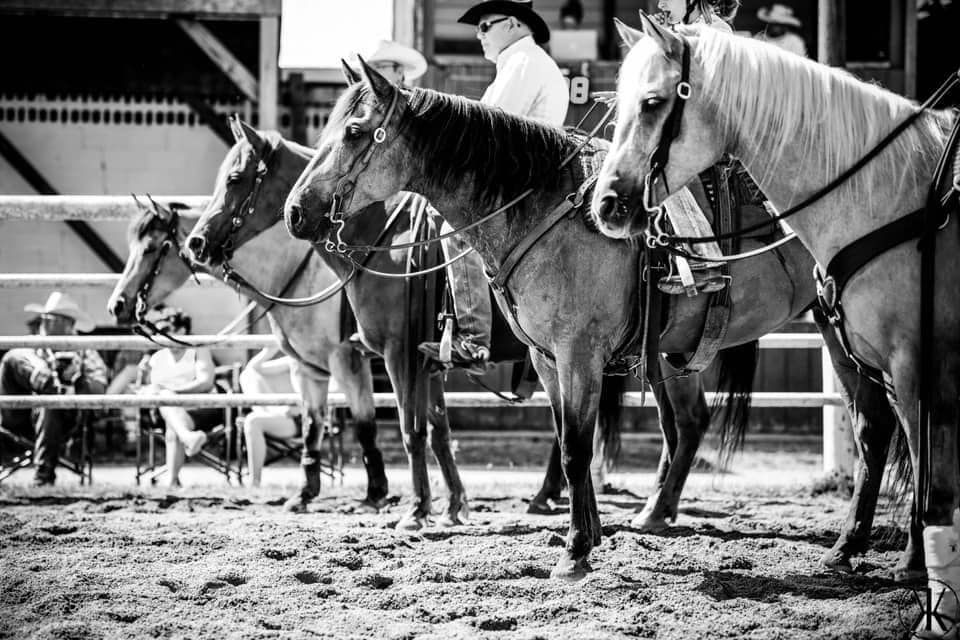 2025 OFQHA Ranch Show Series - June 7th