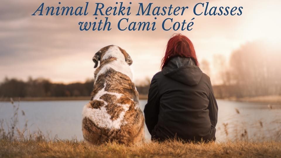 ICRT Animal Reiki Master Training with Cami Cote ~ Online