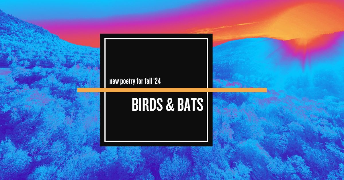 BIRDS & BATS: new poetry for fall '24