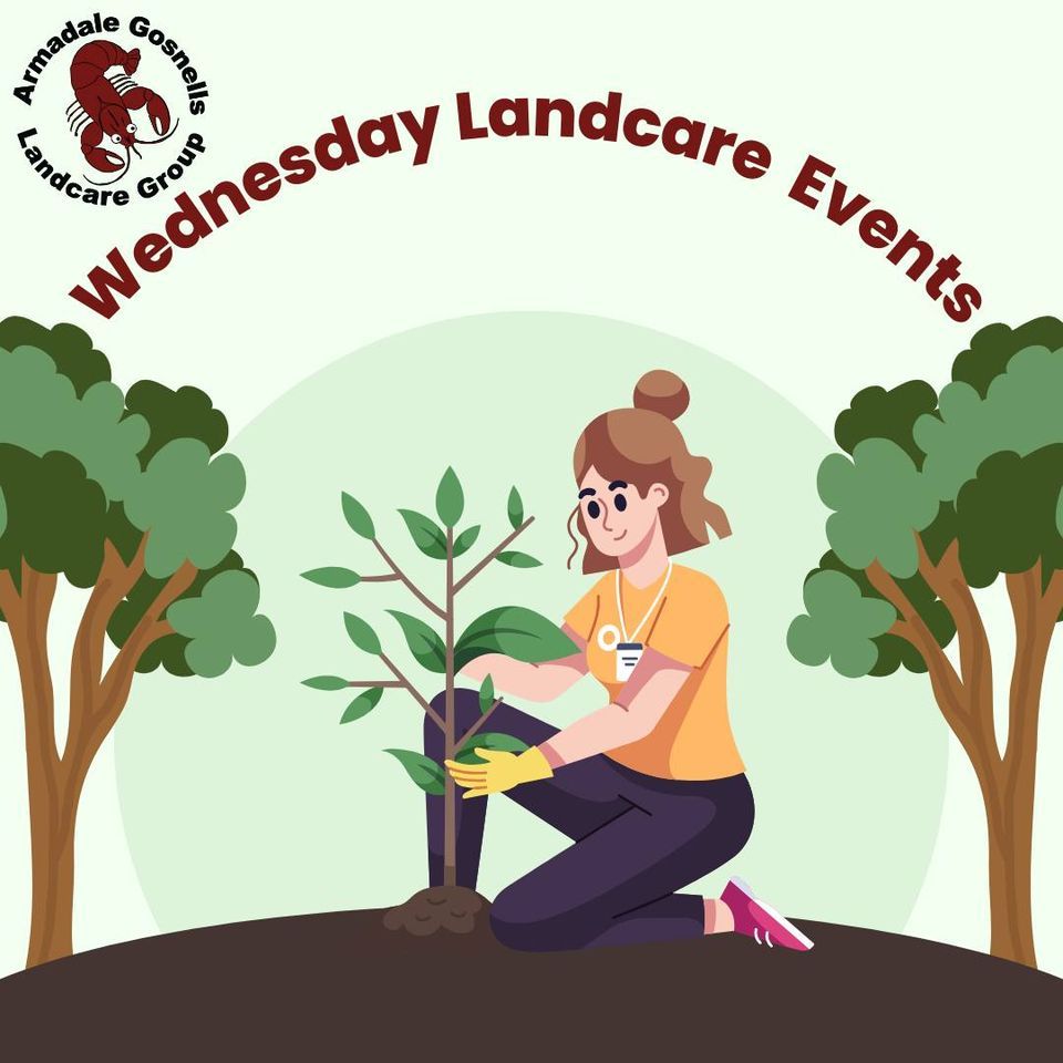 Wednesday Landcare at Mary Carroll Wetlands in Gosnells