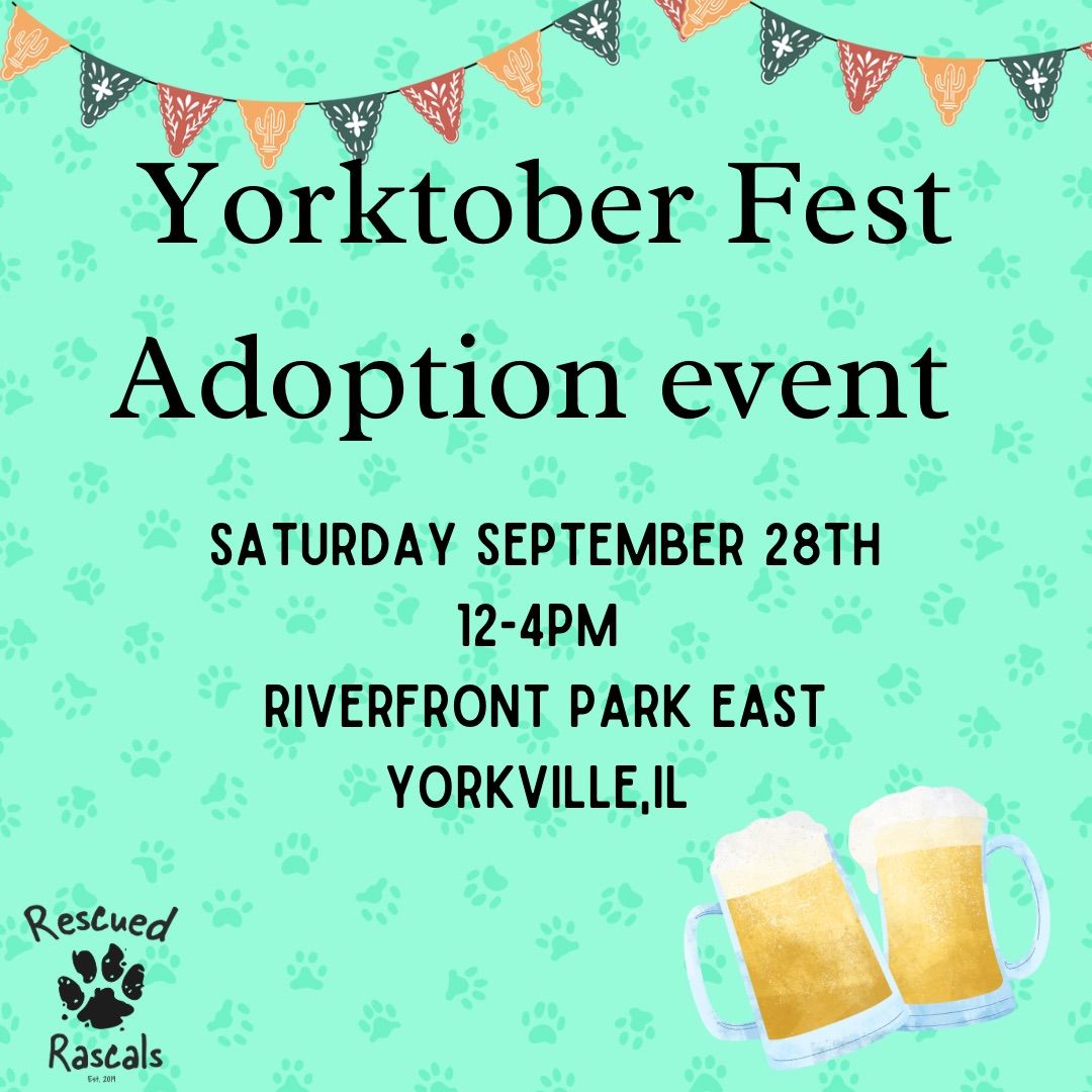 Rescued Rascals X Yorktober Fest Adoption Event 