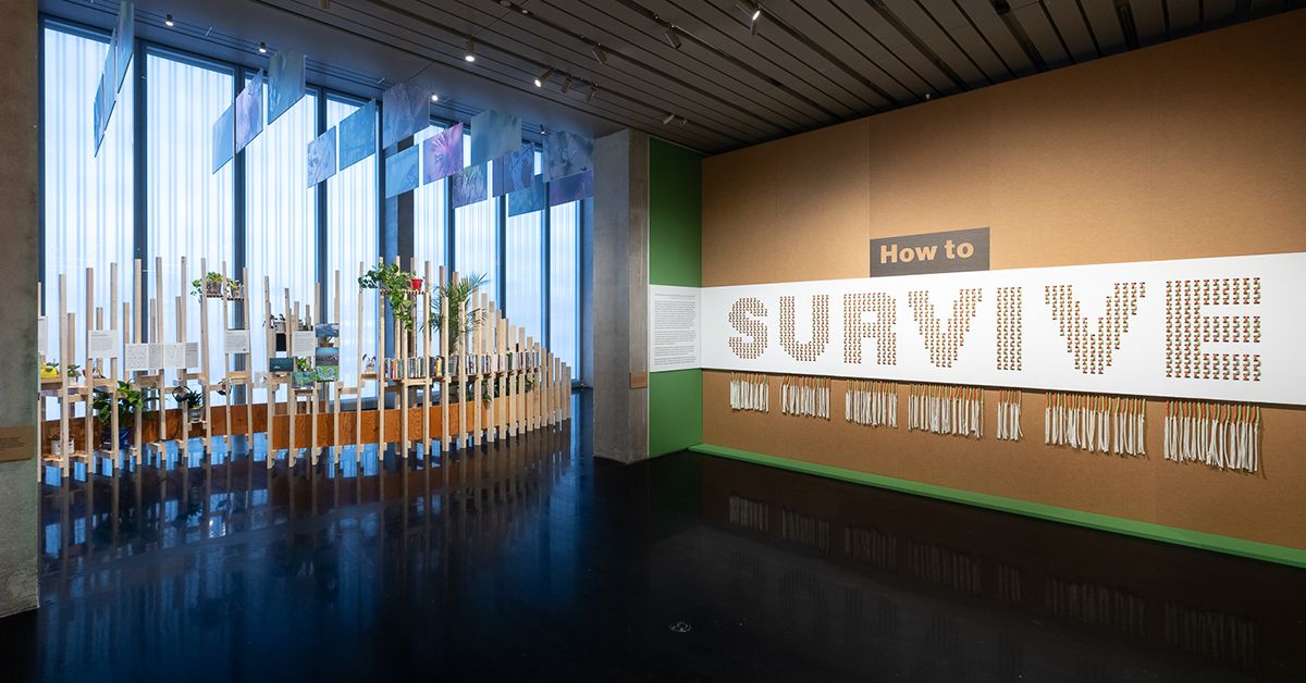 Curator Tour: How to Survive