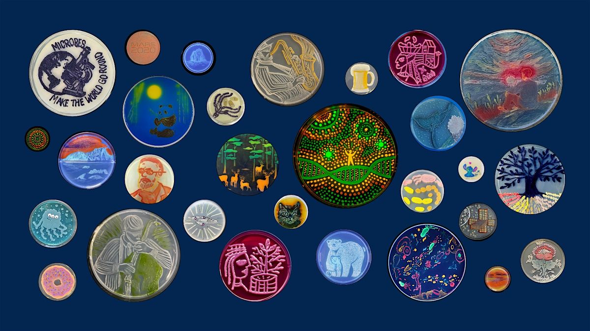 Drawn From Life: Microbes, Art, and the Story of Science