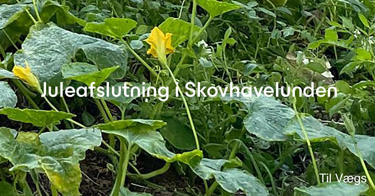 Juleafslutning i Skovhavelunden