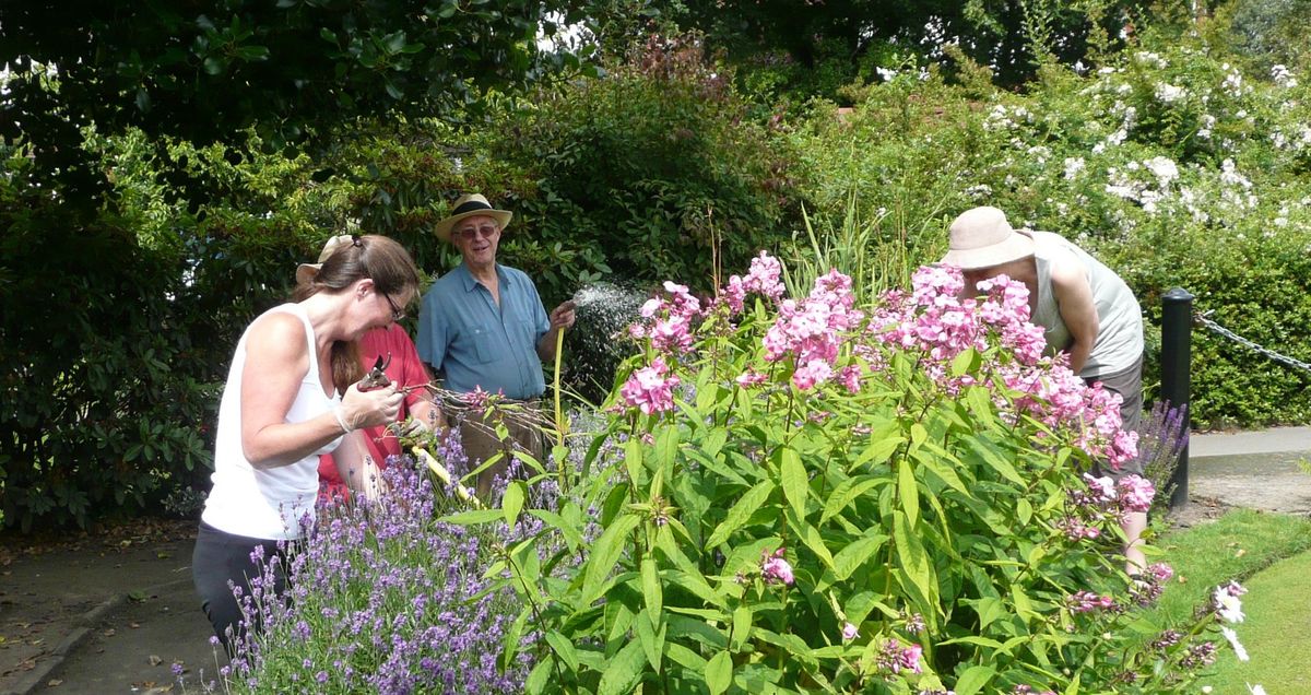 Garden in the Park