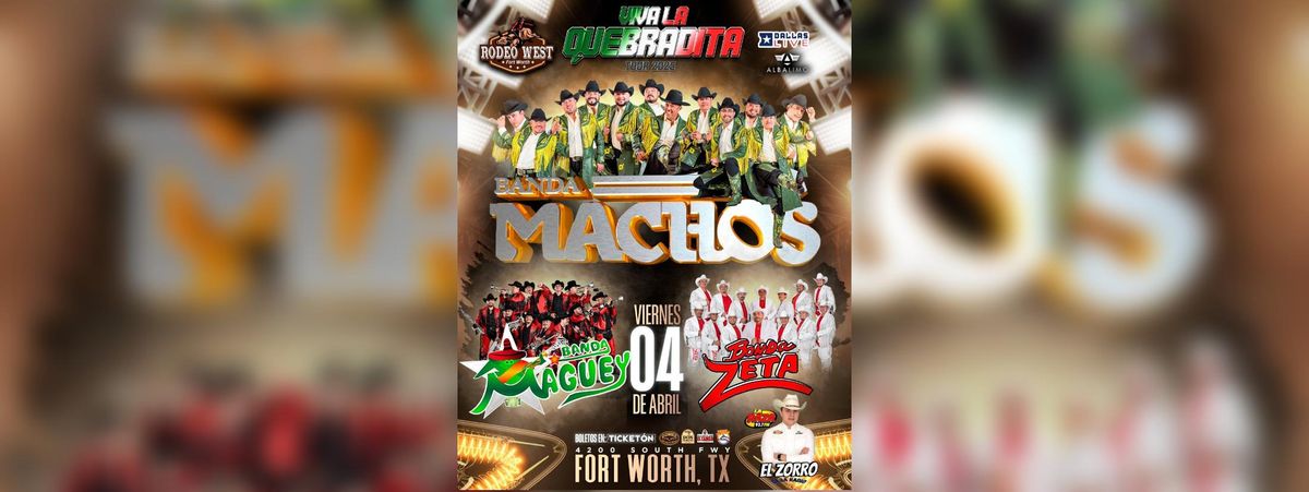 Banda Machos