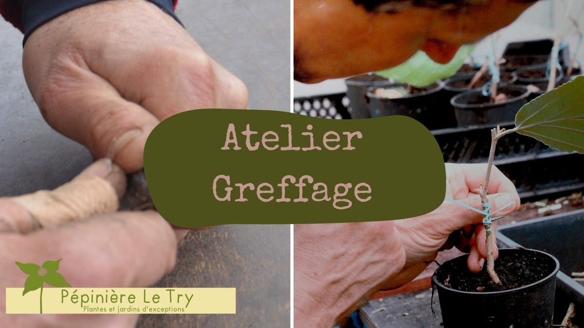 Atelier greffage 