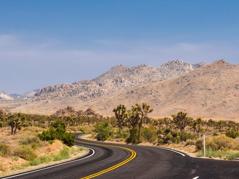 Joshua Tree Road Trip