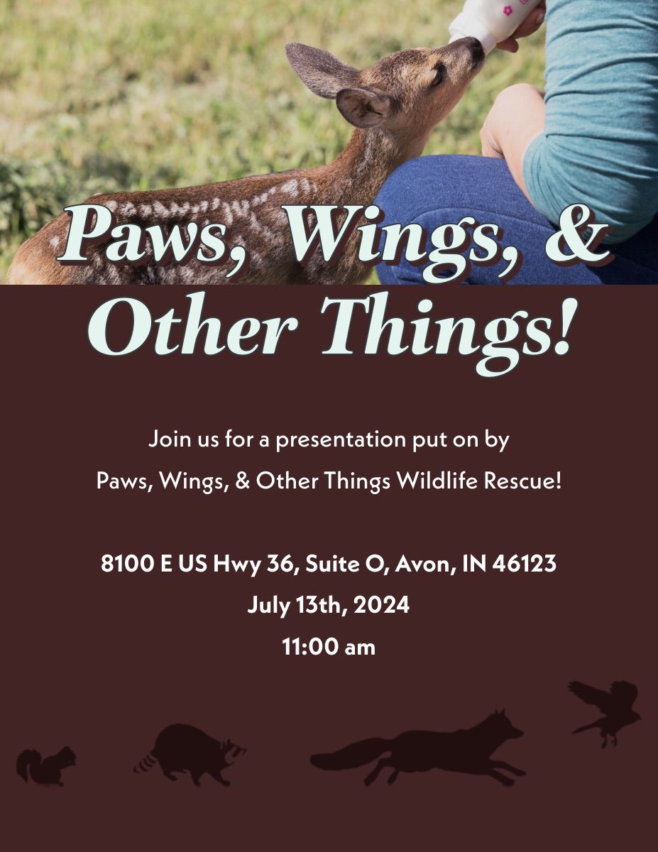 Paws, Wings and Other Things Wildlife Rescue