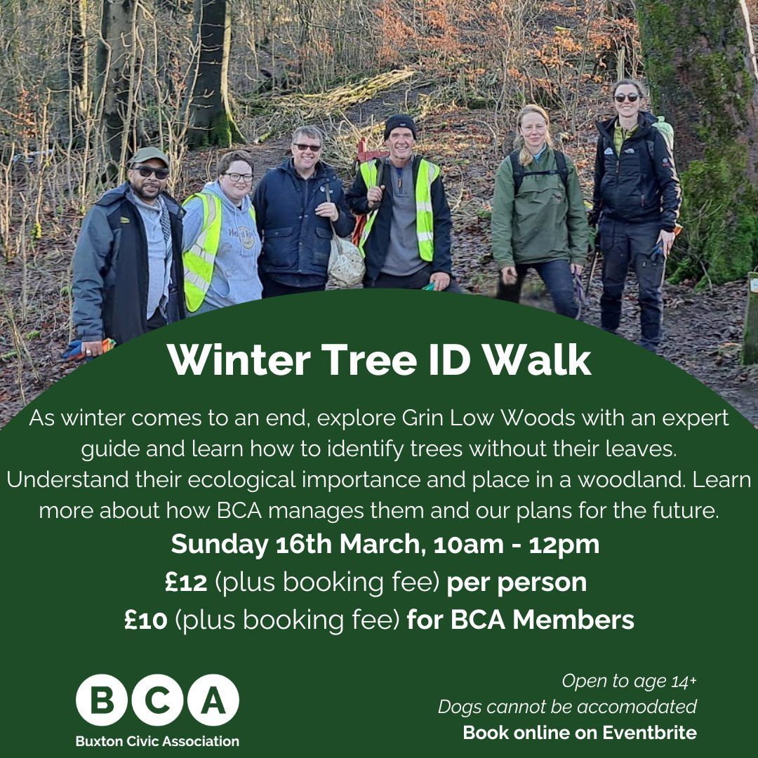 Winter Tree ID Walk in Grin Low