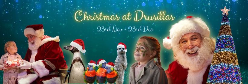 Christmas at Drusillas Park