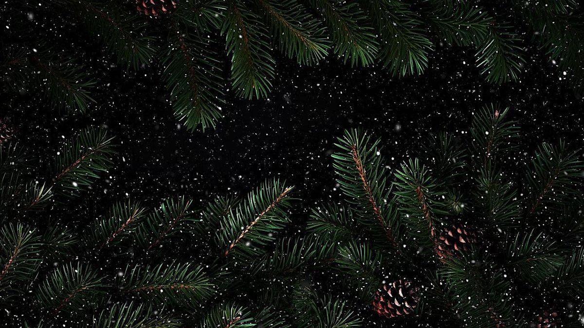 Holistic Holiday Market! (Exton, PA)