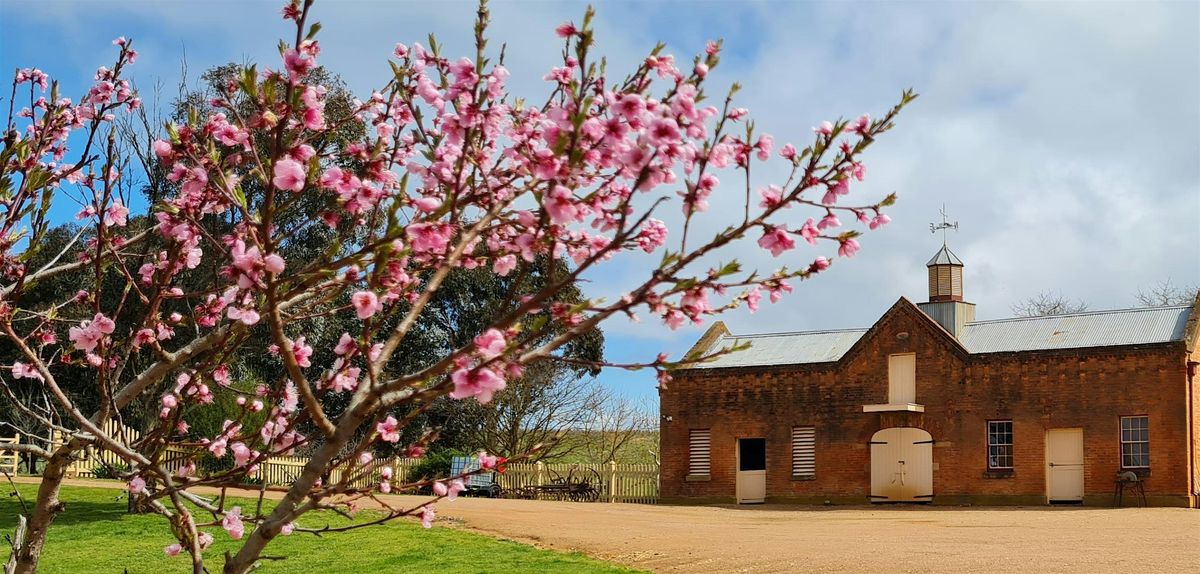 Cooma Cottage - General Entry