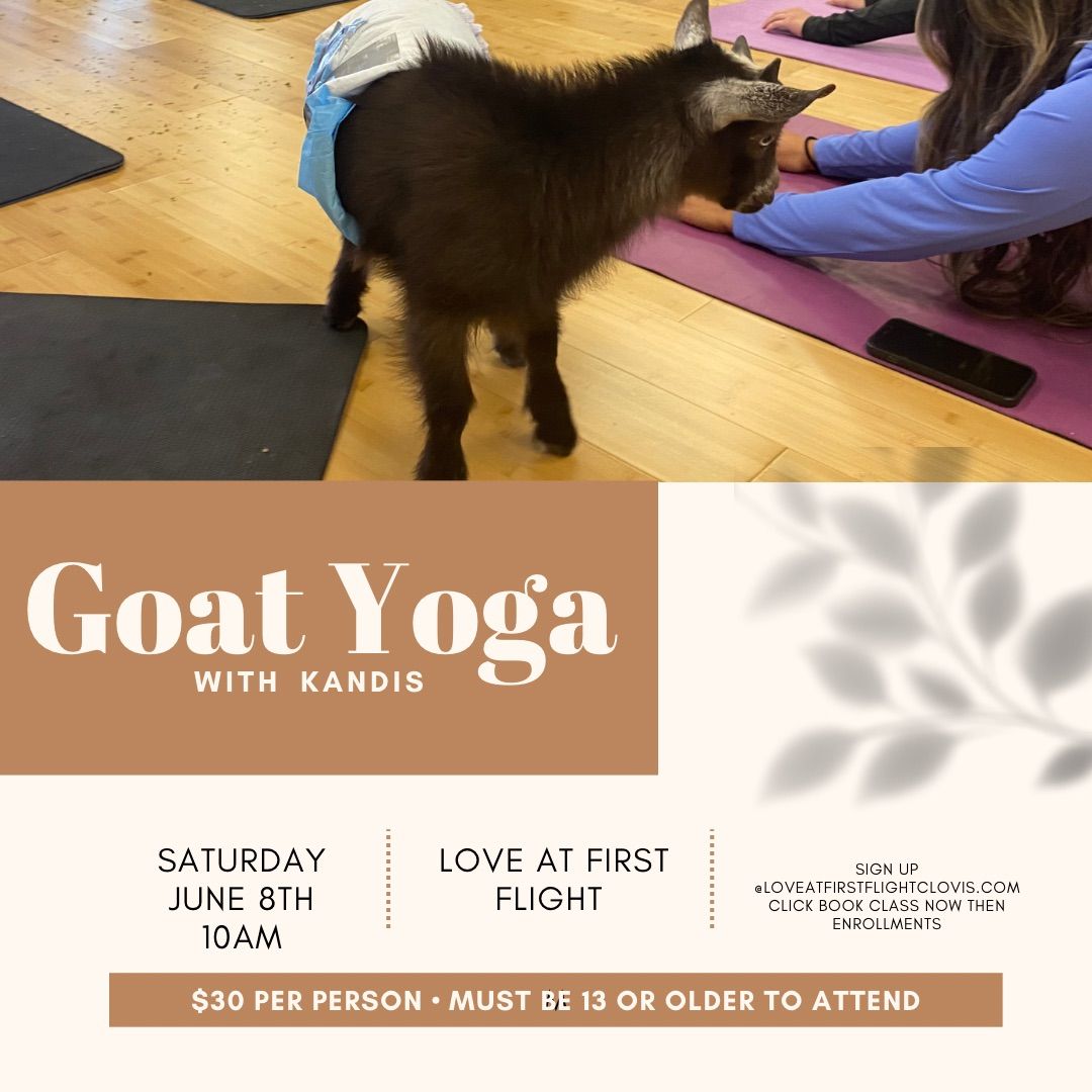 Goat Yoga with Kandis 