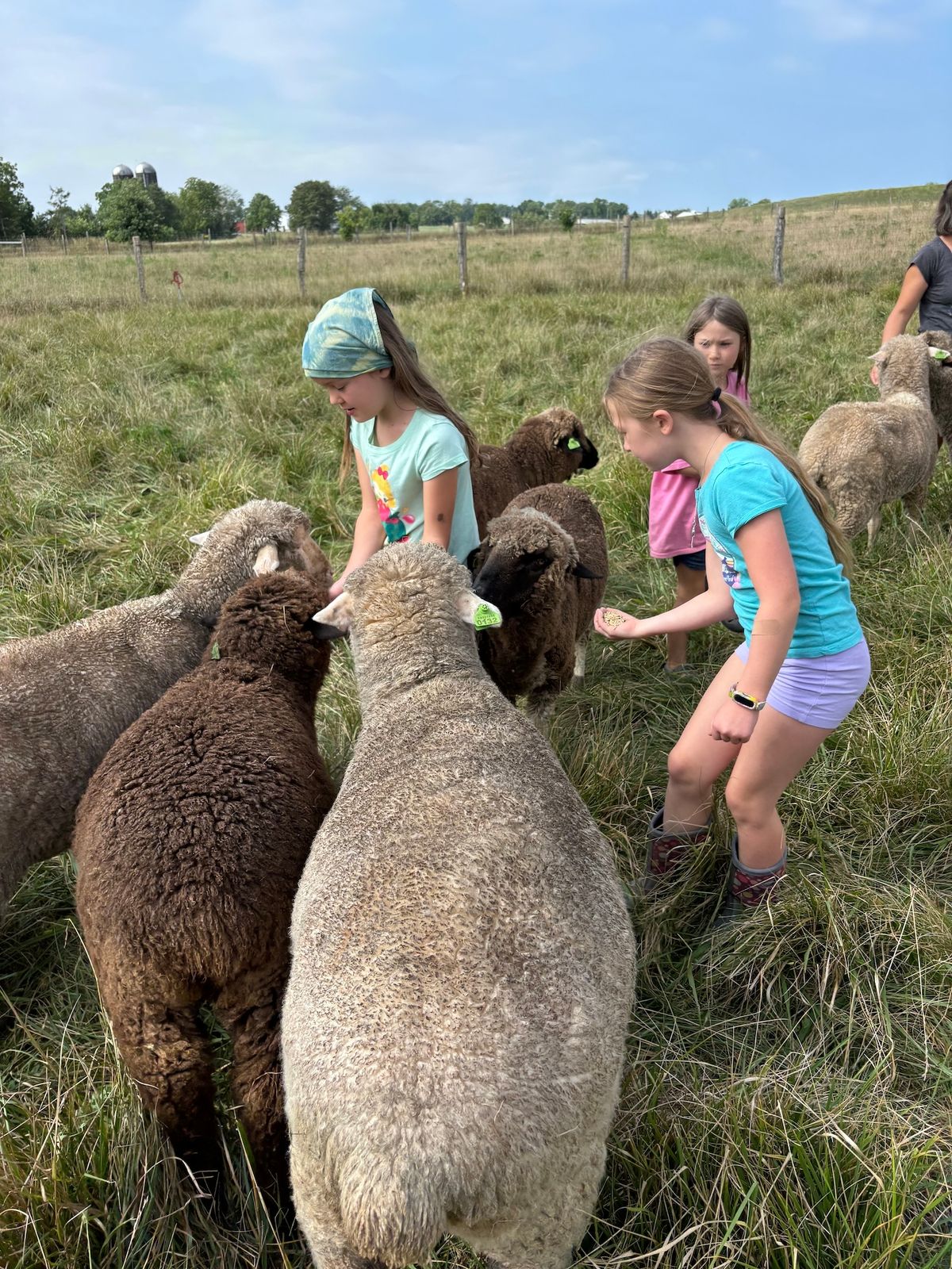 2025 Spring Break Fiber Farm Camp