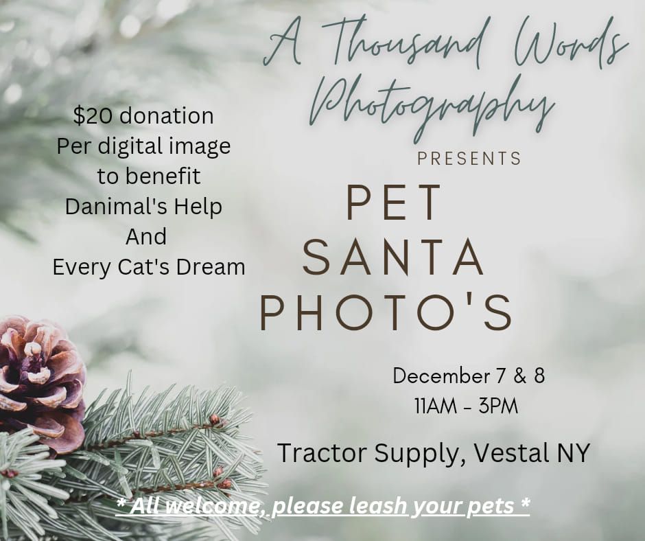 Pet Santa Photo's