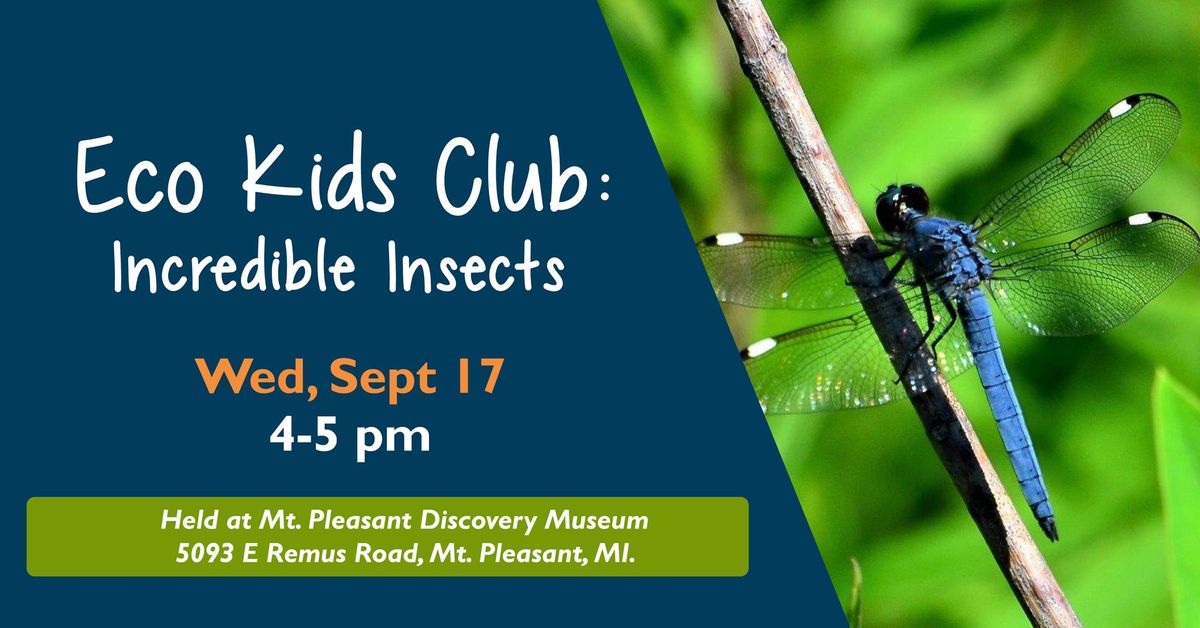 Eco Kids Club: Interesting Insects