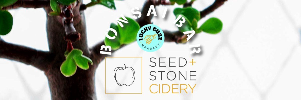 Bonsai Bar @ Seed + Stone Cidery & Lucky Buzz Meadery
