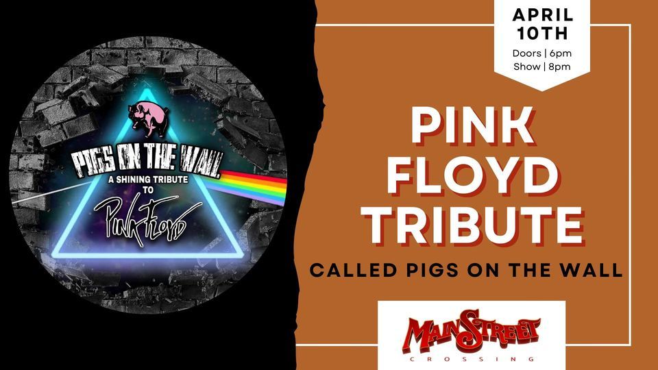 Pink Floyd Tribute | Pigs on the Wall | LIVE at Main Street Crossing