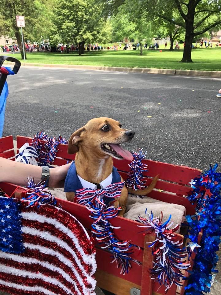 53rd Annual Collins Park Neighborhood July 4th Parade