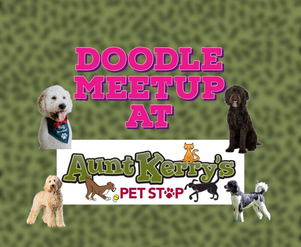 Doodle Meetup