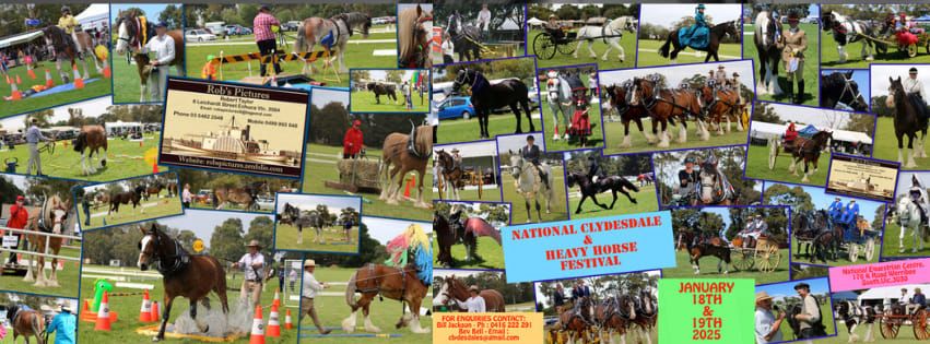 National Clydesdale and Heavy Horse Festival 2024