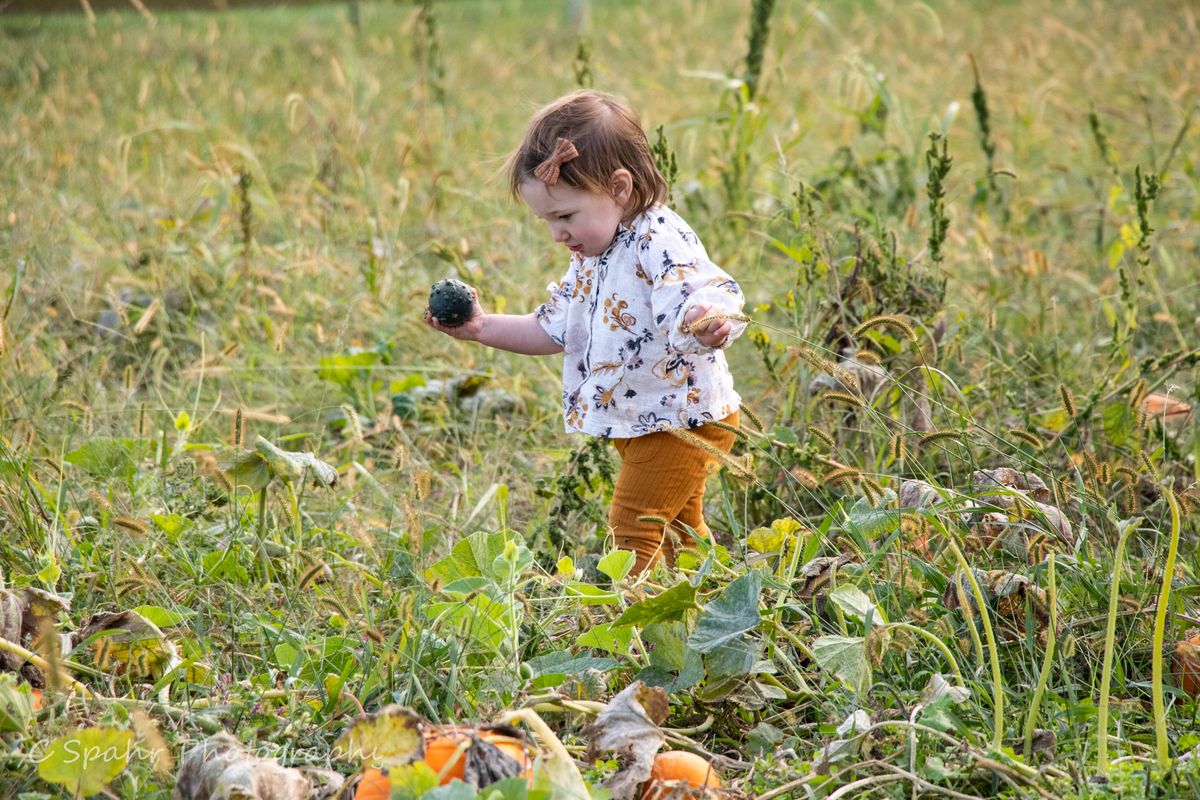 Maple Valley Acres Community Fall Festival 