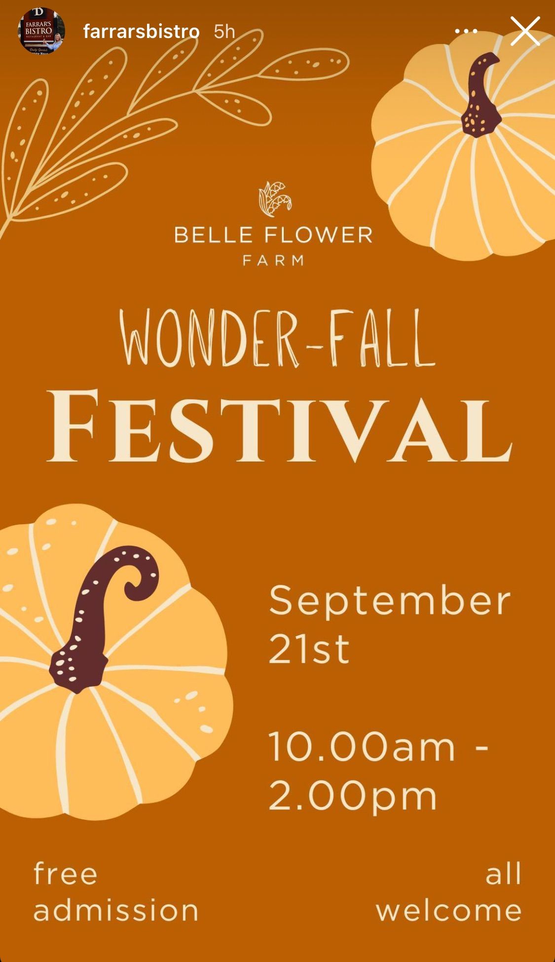 WonderFALL Festival 