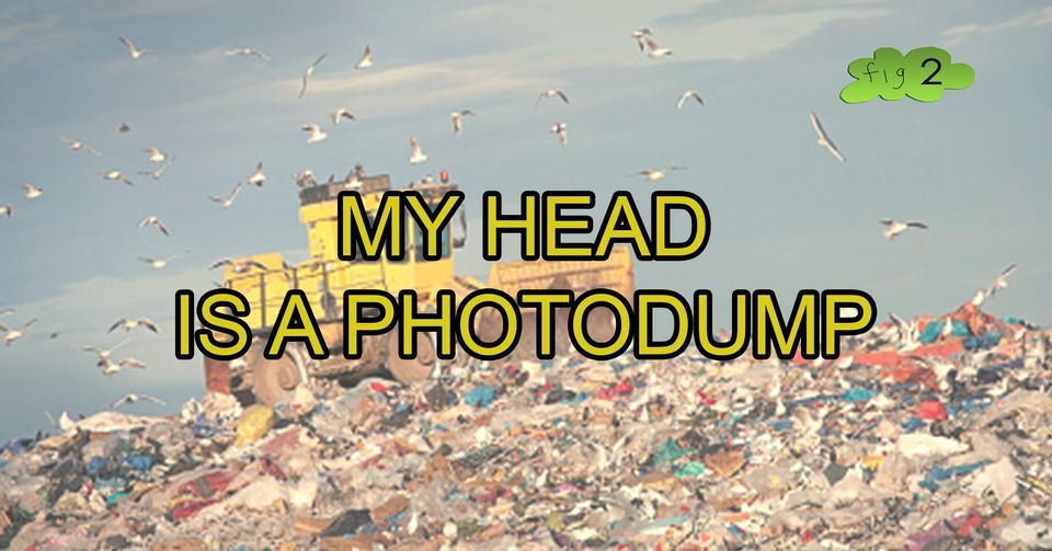 FIG. 2 | MY HEAD IS A PHOTODUMP | GROUP EXHIBITION