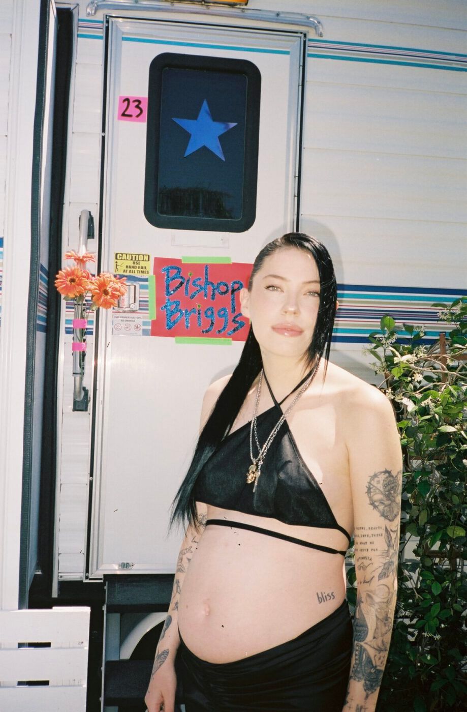 Bishop Briggs