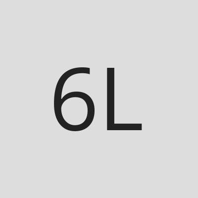 6 Laps