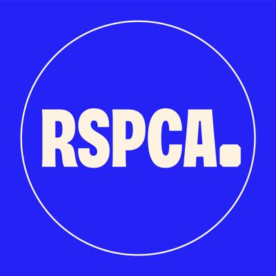 RSPCA Bournemouth, New Forest and District Branch