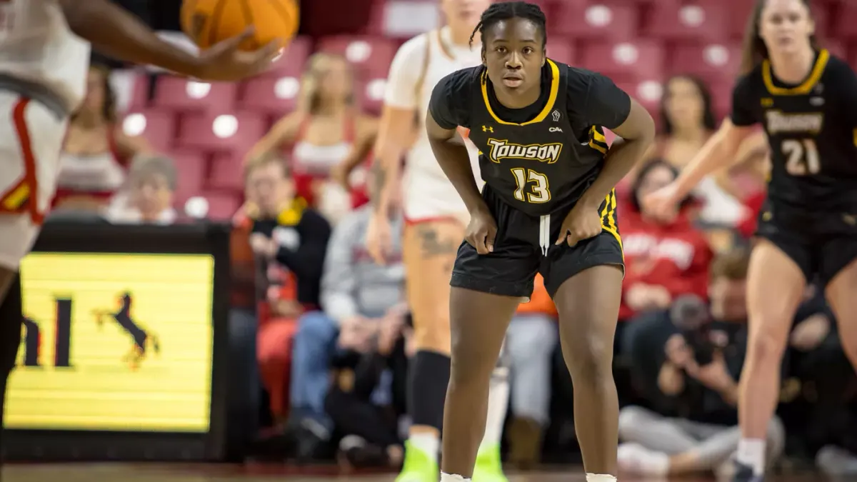 Towson Tigers at George Mason Patriots Womens Basketball